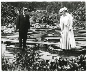 Tower Grove Park Lily Pond. Mann og kvinne som står på Lily Pads.